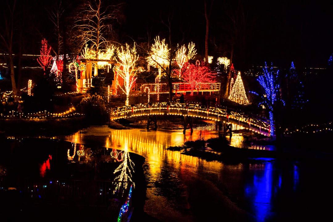 Creation Museum Christmas Etsy