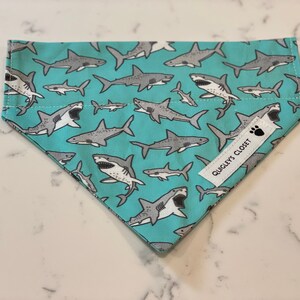 Small Shark Dog Bandana