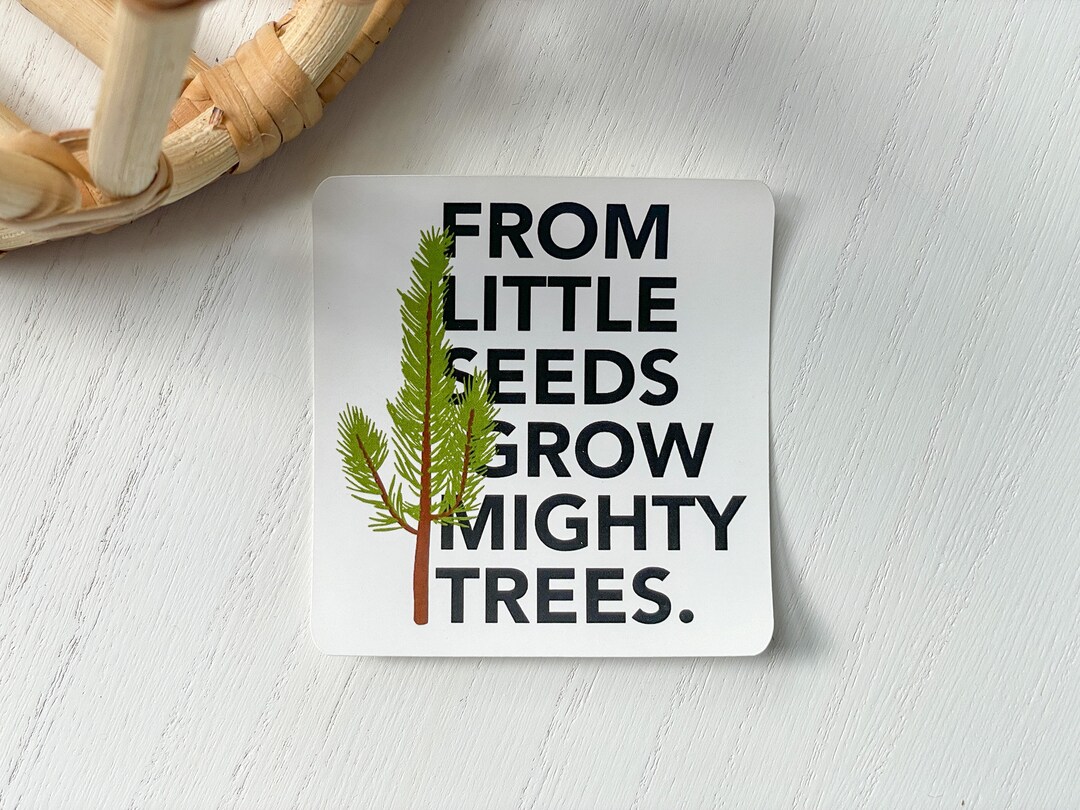 From Little Seeds Grow Mighty Trees Seedling Sticker | Vinyl Sticker ...