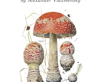 Alexander Viazmensky: Portraits of Mushroom Exhibition Book