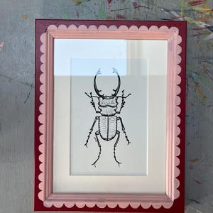 Könnte beinhalten: Ein gerahmter Insektenkunstdruck. Das Kunstwerk zeigt eine Schwarz-Weiß-Illustration eines Käfers. Der Rahmen ist tiefrot mit einem wellenförmigen rosa Innenrand.