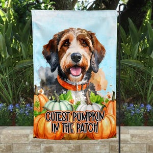 Op de afbeelding: Een tuinvaandel met een aquarel illustratie van een hond met bruine en witte vacht, met een oranje halsband. De vlag heeft de tekst "Cutest Pumpkin in the Patch" met pompoenen op de voorgrond. De achtergrond is een lichtblauwe lucht.
