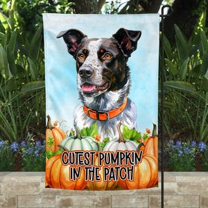 May include: A garden flag featuring a watercolor illustration of a dog with black and white fur, wearing an orange collar. The flag has the text "Cutest Pumpkin in the Patch" with pumpkins in the foreground.