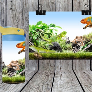 May include: A water bottle with a blue lid and yellow spout. The bottle has a design of a green lizard, a brown frog, and an orange and green chameleon on a green and brown background.