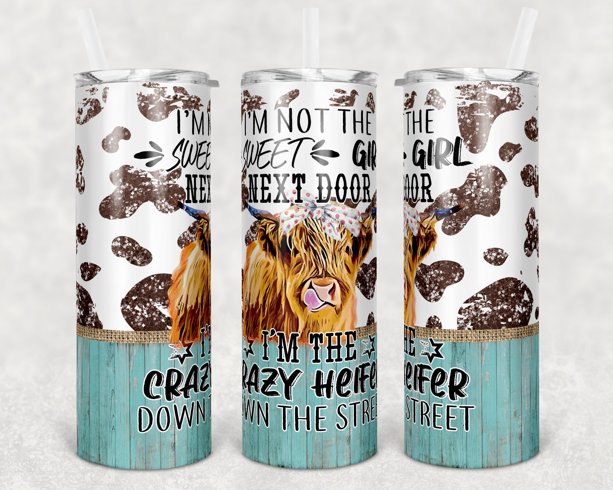 I Like Cows and Maybe Like 3 People 20oz Skinny Tumbler with Lid and S –  Desert Shirt Co.