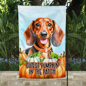 Op de afbeelding: Een tuinvaandel met een aquarel illustratie van een teckel hond met bruine en zwarte vacht, met een oranje halsband. De vlag heeft de tekst "Cutest Pumpkin in the Patch" en pompoenen.