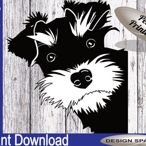 Schnauzer svg, cut file SVG, DXF, PNG image for vinyl, stickers, laser cut, Cricut, Silhouette.