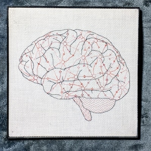 May include: A black and white cross-stitch embroidery of a human brain with red and orange lines representing neural pathways.