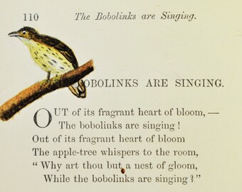 POEMS by W. D. Howells, 1873, Illustrated by hand with color drawings