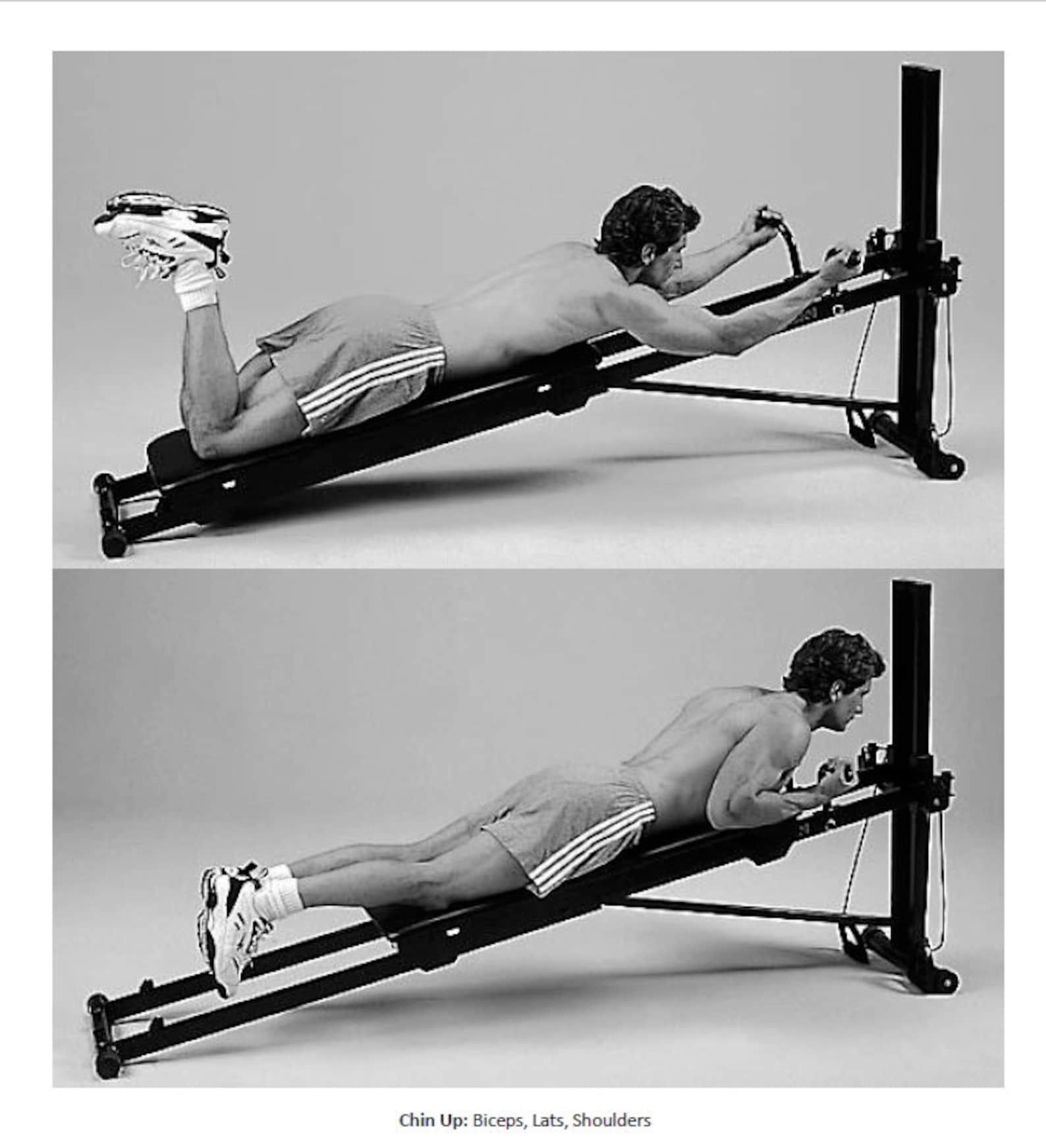 73-exercise-movements-for-total-gym-total-gym-exercise-chart-ebook