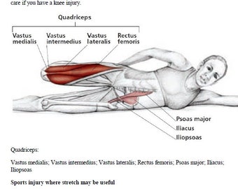 Vastus fashion lateralis workout