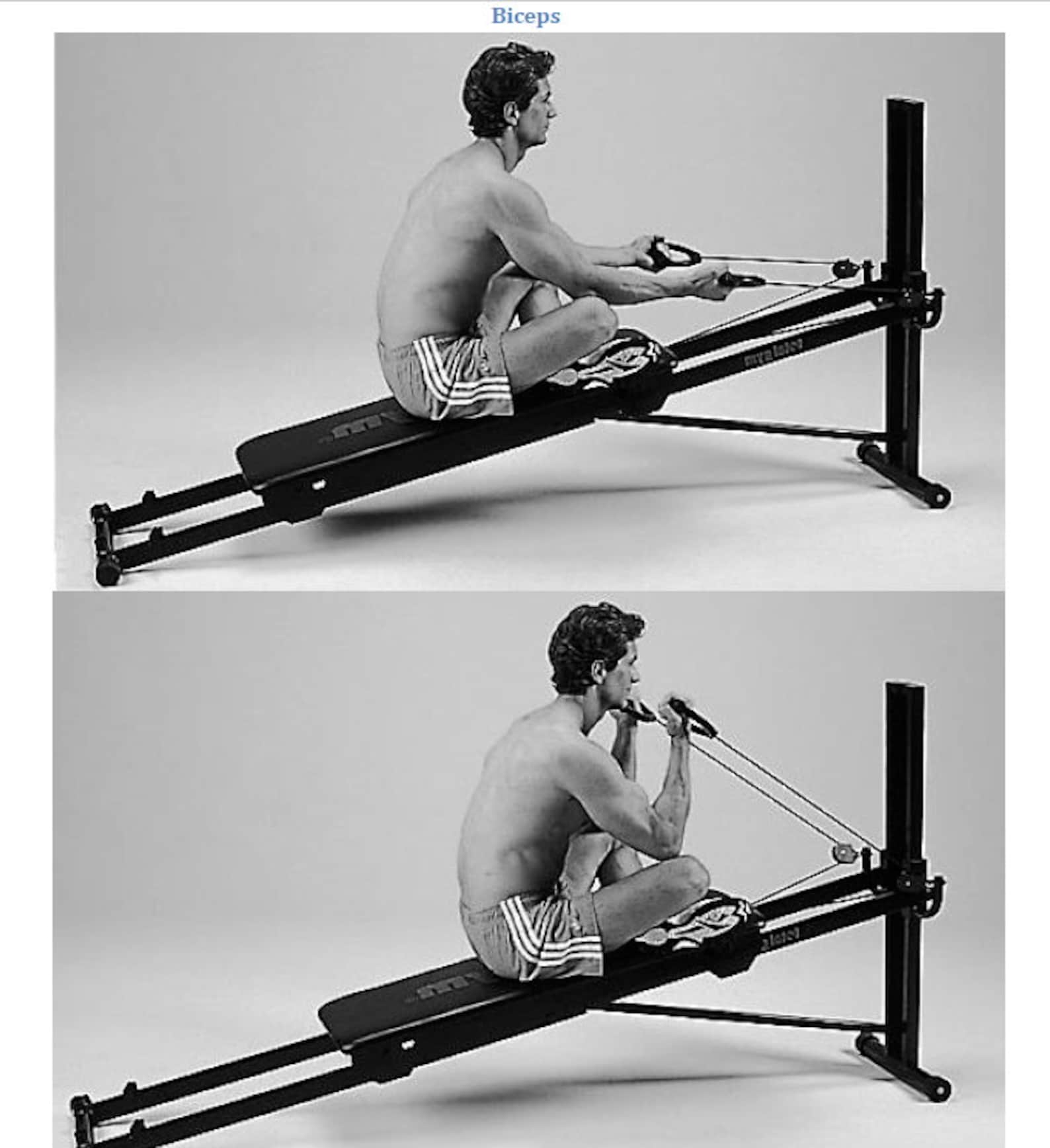 73 Exercise Movements for Total Gym®. Total Gym® Exercise Chart. Ebook