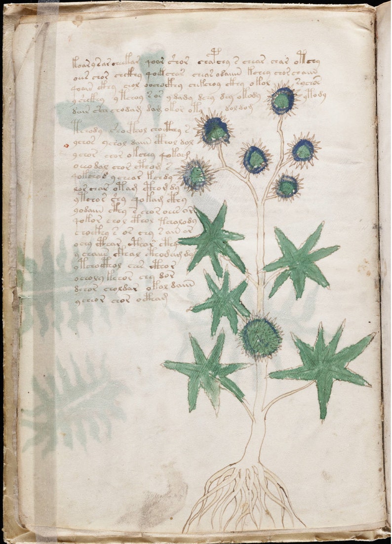 voynich manuscript pdf voynich manuscript pdf