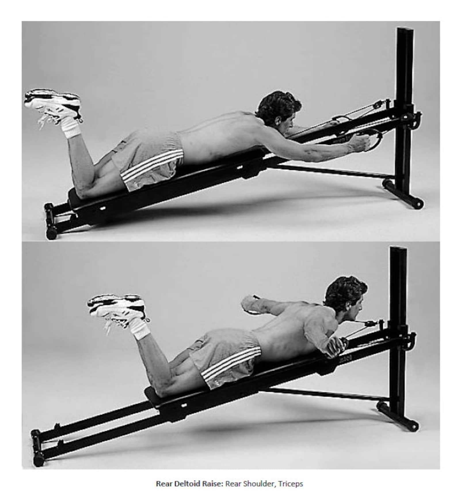 73 Exercise Movements for Total Gym®. Total Gym® Exercise Chart. Ebook