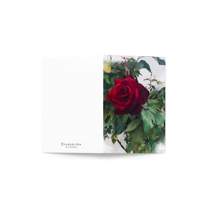 Rote Rose Grußkarte 10 x 15 cm.