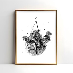 Hängende Pflanzer Matte Kunstdrucke