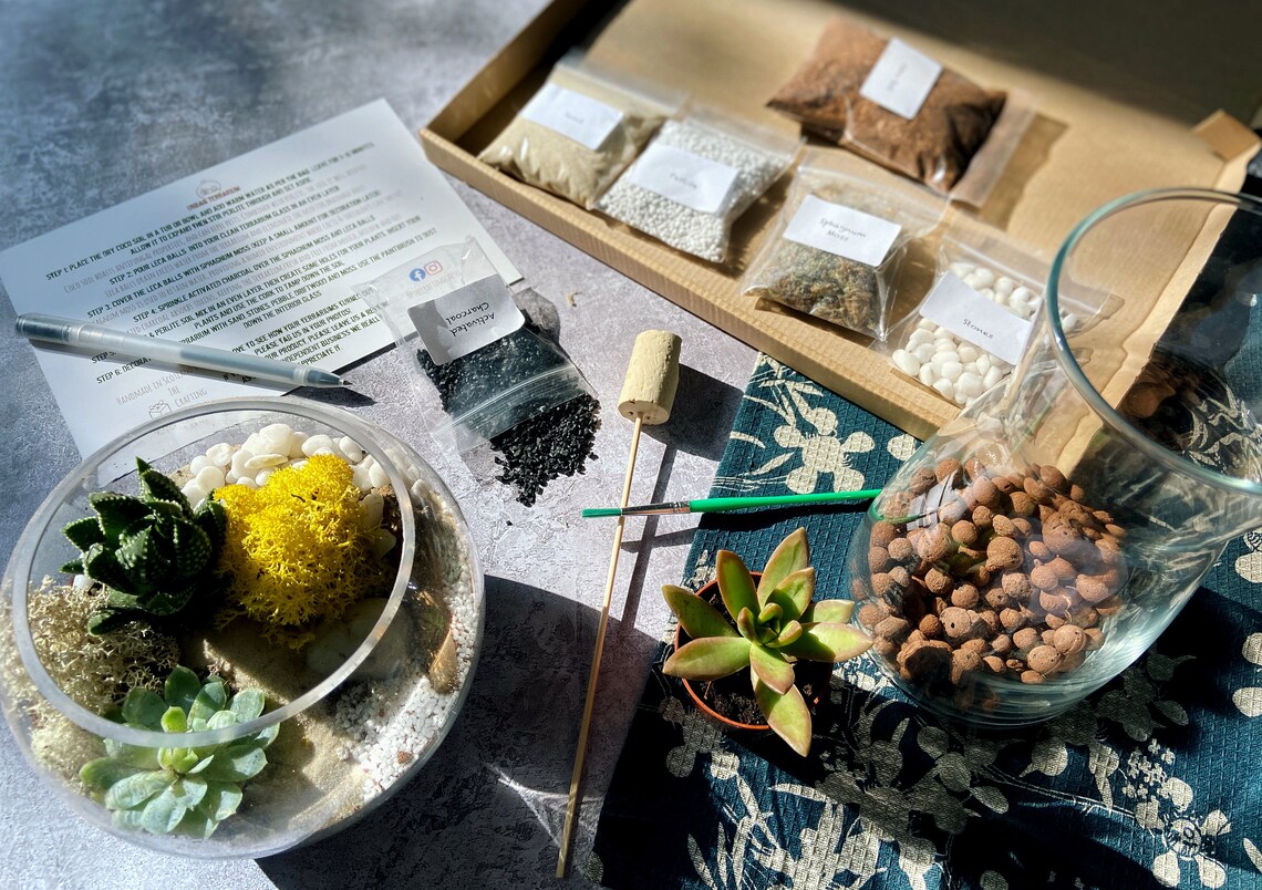 Build Your Own Terrarium Kit Terrarium With Glass & Etsy UK