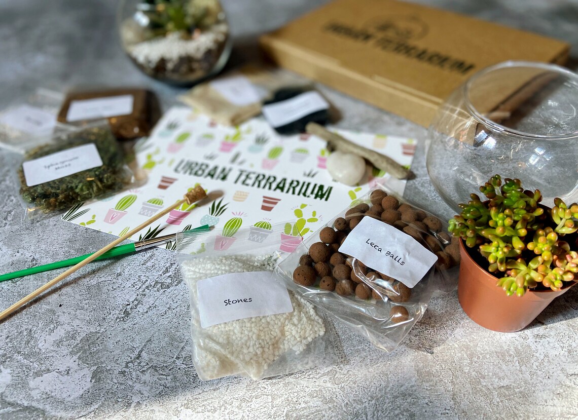 Build Your Own Terrarium Kit Terrarium With Glass & Etsy UK