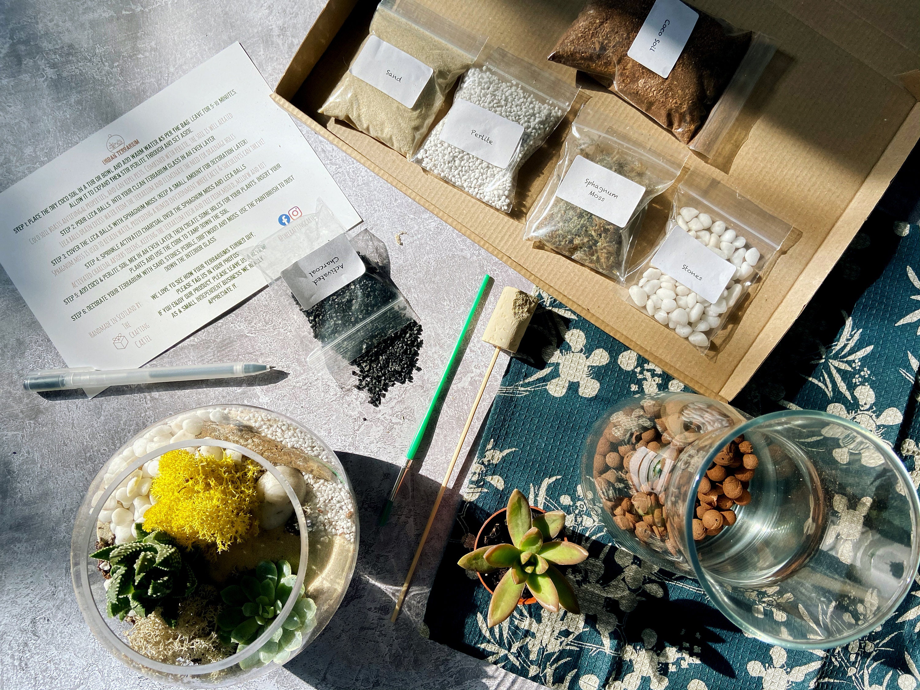 Build Your Own Terrarium Kit Terrarium With Glass & Etsy UK