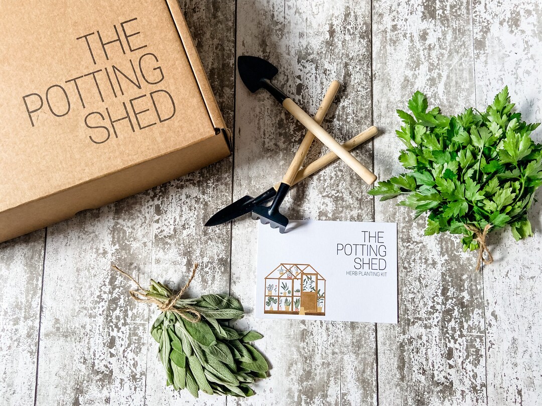 Grow Your Own Calming Herbs Kit - the Potting Shed - Indoor Herb Garden ...