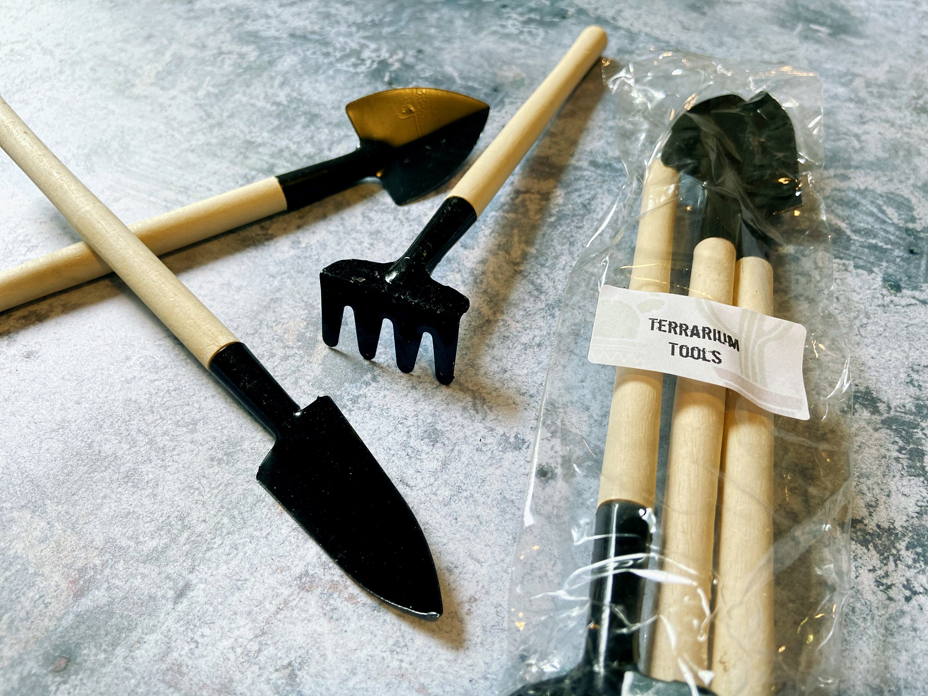 Build Your Own Terrarium Kit Terrarium With Glass & Etsy UK