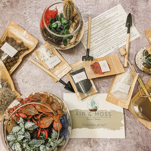 DIY Terrarium Making Kit Build Your Own Terrarium With Etsy UK
