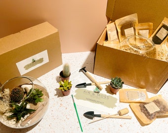 DIY Terrarium Kit | Make Your Own Terrarium with Glass, Plants & Tools - 3 Sizes