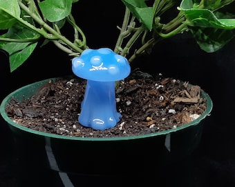 Può includere: Un picchetto per l'irrigazione a forma di fungo in vetro blu chiaro per una pianta in vaso.