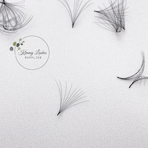 10D 0.05 Fans Promade Volume Fans | 500 Fans Per Box D Curl Lash | 10D Pre Made Russian Lashes | D Curl Mega Volume Eyelash Extensions