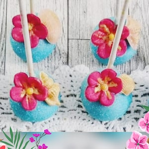 Gluten Free Moana Hawaii Beach Cakepops Birthday Party Luau Tropical Party Baby Shower