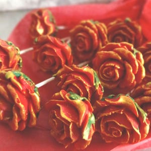 Gluten Free Chocolate Roses Flower Bouquet Cakepop Valentine's Day Love Birthday Shower Gift Mom Sister