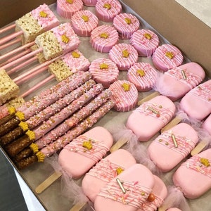 48 Pieces! Gluten Free Pink Princess Party Package Chocolate Cake Pops Cakesicles Oreos Pretzels Rice Crispy Treats Birthday Baby Shower