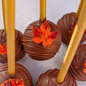 Gluten Free Fall Cake Pops Thanksgiving Table Fall Holiday Gift