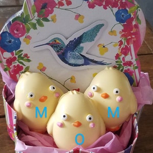 6 Gluten Free Chocolate Chicks  Baby Shower Birthday Gift  Spring Child Gift Mom