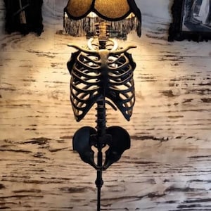 The House Spine | Life Size Gothic Skeleton Floor Lamp | The Room's Backbone