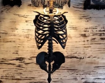 The House Spine | Life Size Gothic Skeleton Floor Lamp | The Room's Backbone