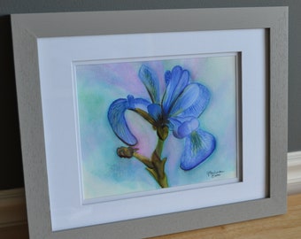 Iris Watercolor - original painting - one of a kind, unframed, double matted