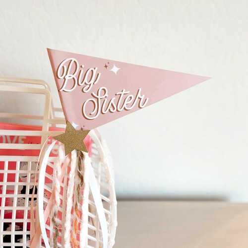 Big Sister Announcement Pregnancy Announcement Big Sister | Etsy