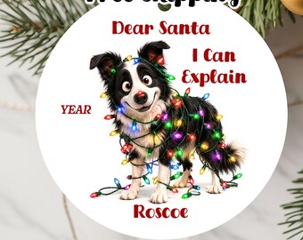 Personalized Whimsical Border Collie  Dog Ornament 2026, Double-Sided Metal Christmas Keepsake