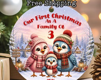Our First Christmas As A Family Of 3 Ornament – Winter Birds Keepsake