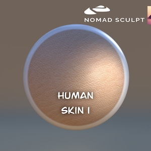 Nomad Sculpt - Human Skin 1 color texture - Brush Tool - Filetype json (Nomad Sculpt File 1.76)