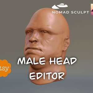 Puede incluir: Un modelo 3D de una cabeza masculina, esculpida con una expresión neutral. El modelo está renderizado en un color marrón claro y tiene el título "Male Head Editor".