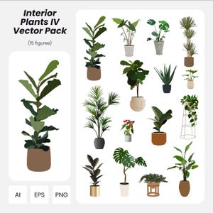Interior Plants Vector Pack: Architecture & Design Graphics (AI, PNG, EPS) (Instant Download)