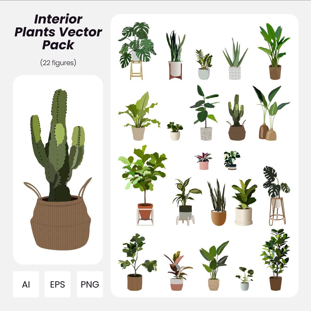 Interior Plants Vector Pack: Architecture & Design Graphics (AI, PNG ...