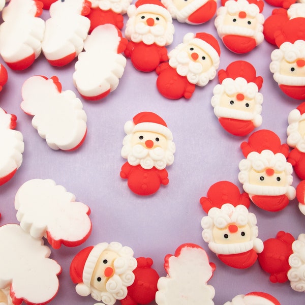 5 Resin Santa Claus Cabochons, Mini Embellishment Shaker Bits, Resin XMAS Cab, Holiday Christmas Cab, Kris Kringle, Father Christmas, Saint