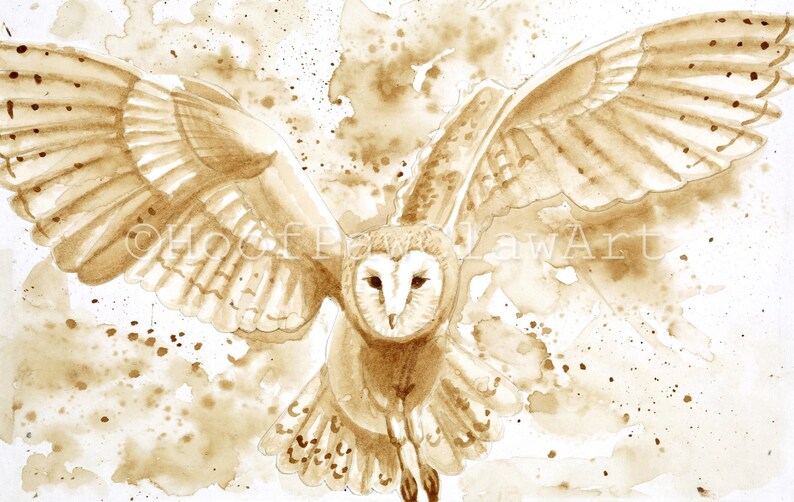 night birds burnt sienna brown birds of prey Barn Owl Single A5 Blank or Personalised Card coffee print bird in flight