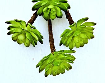 Selección de suculentas artificiales: vegetación realista para coronas y manualidades