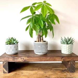 Blumenampel | Blumenständer | Blumentopf aus Holz | Blumenständer aus Holz | Übertopf Blumentopf | Rustikal massiv Holz | Individuell | Pflanzen Organizer