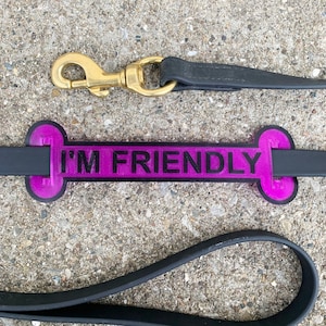 Funda para correa "I'm Friendly", funda para correa, funda personalizada para arnés de perro, etiqueta para correa, regalos para perros, regalo para dueños de perros