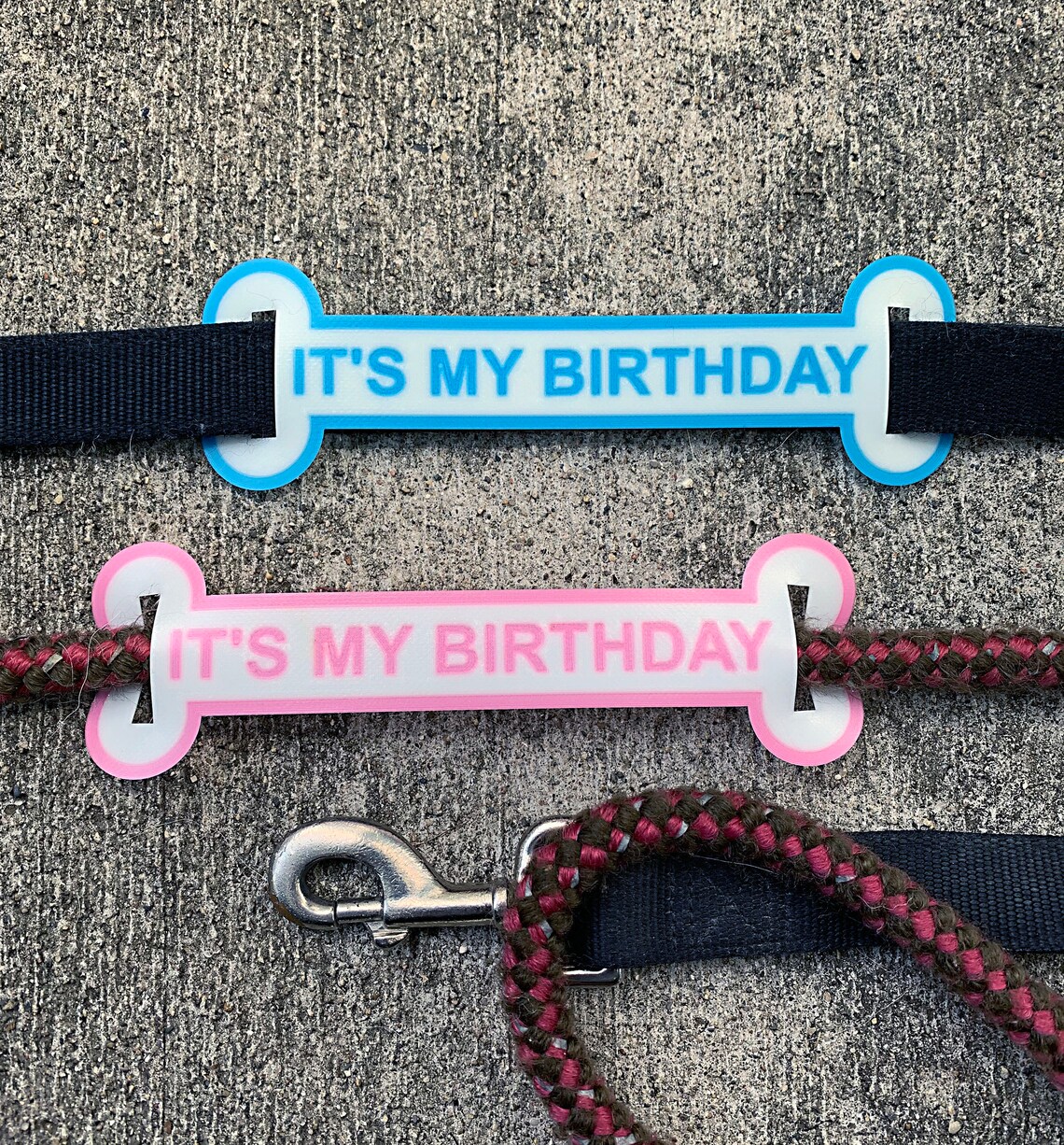 Dog Leash Sleeve Dog Birthday Girl Dog Birthday Boy Dog Etsy UK